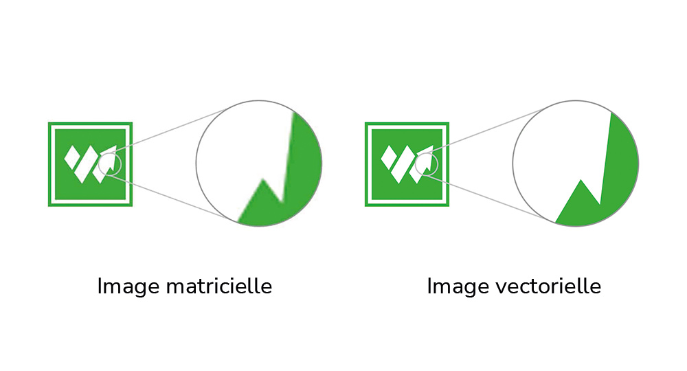 Une image matricielle et vectorielle