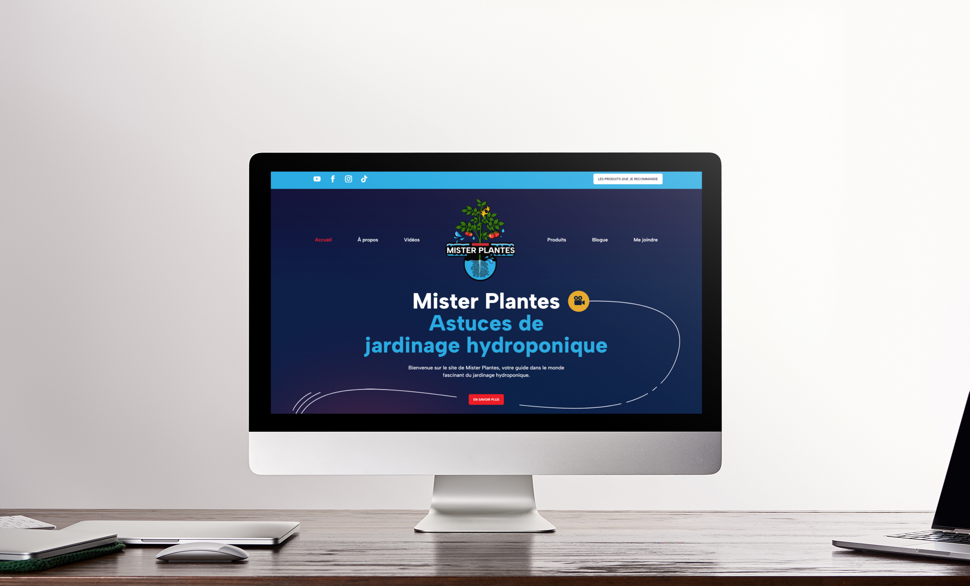 Site Web WordPress de Mister Plantes